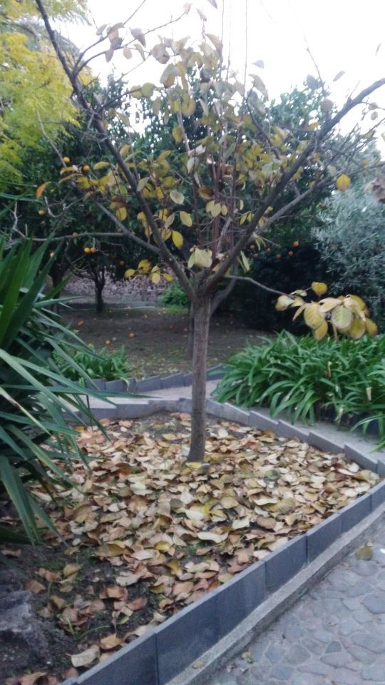 Autunno in Monastero