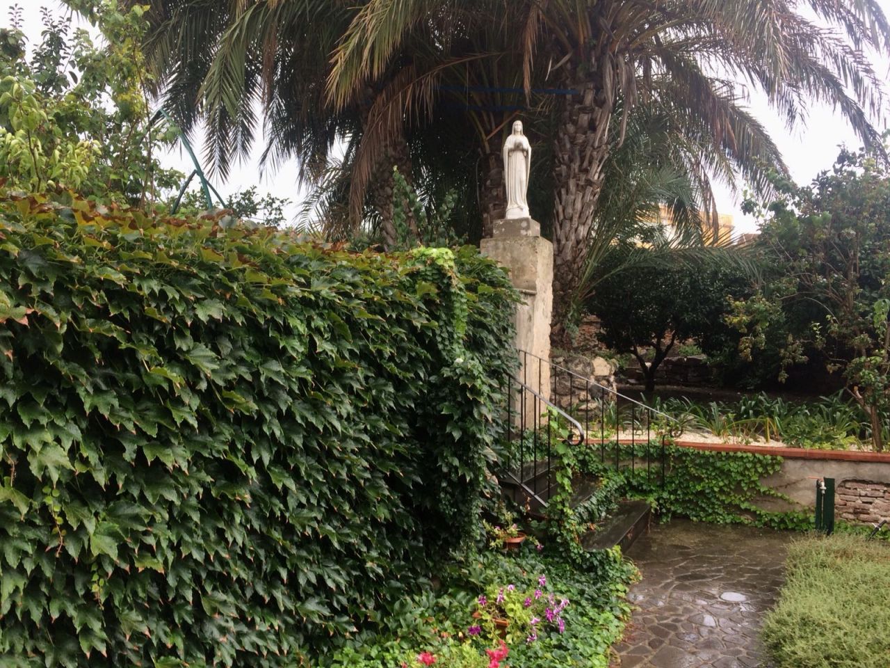 Basta rispondere al suo amore che non va mai meritato _ Vangelo del giorno